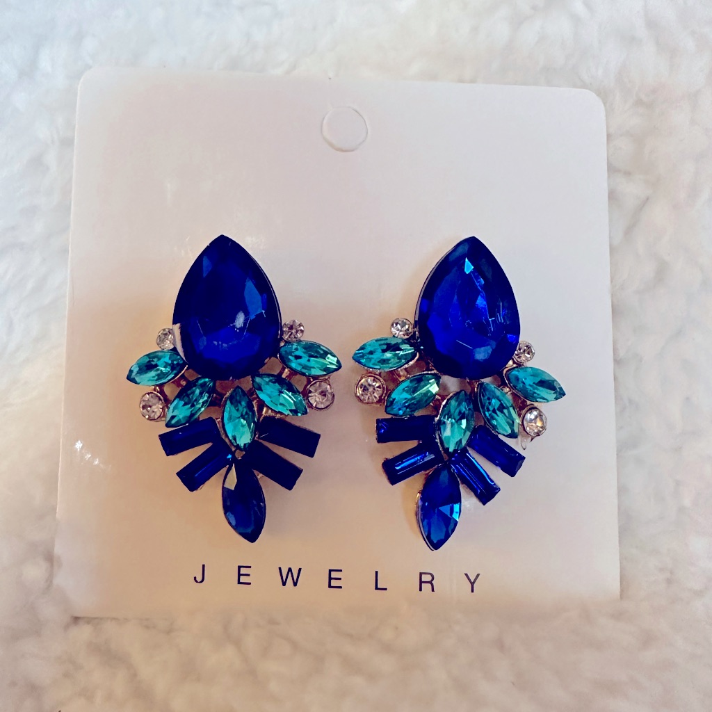 Blue Crystal Earrings 22$
